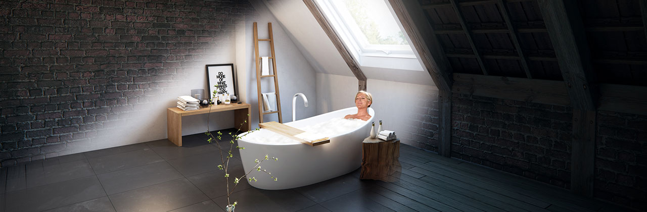 VELUX Procontact Dak Plus